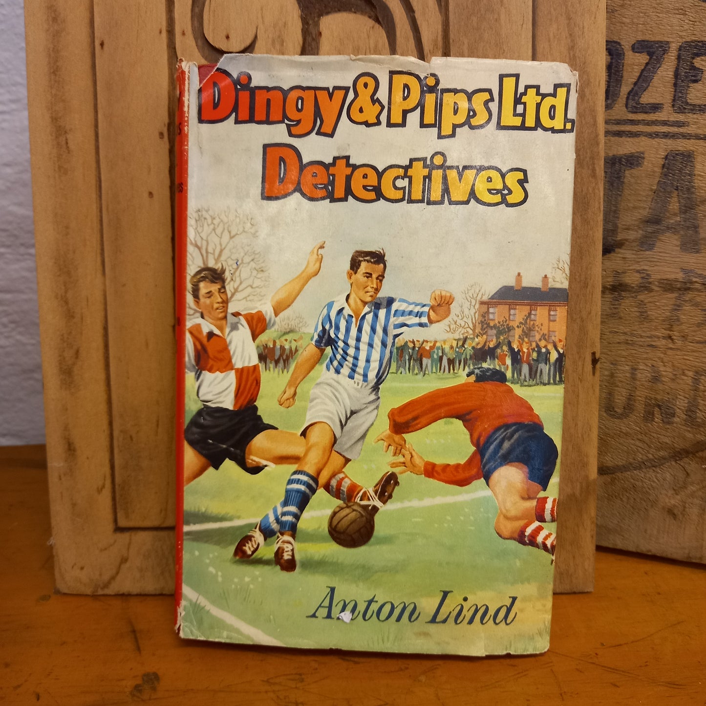 Dingy And Pips Ltd Detectives by Anton Lind-Book-Tilbrook and Co