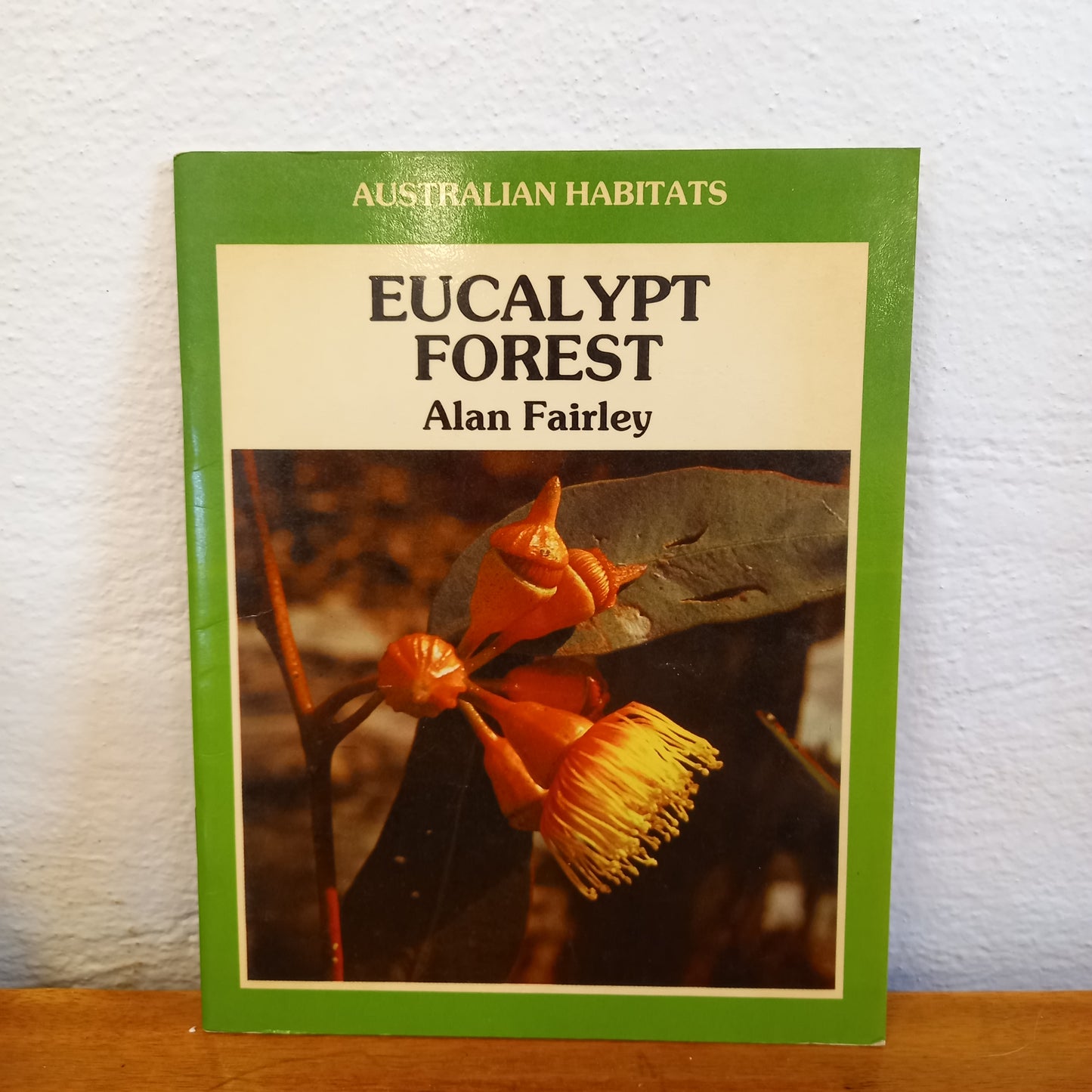 Eucalypt Forest [Australian habitats] by Alan Fairley-Book-Tilbrook and Co