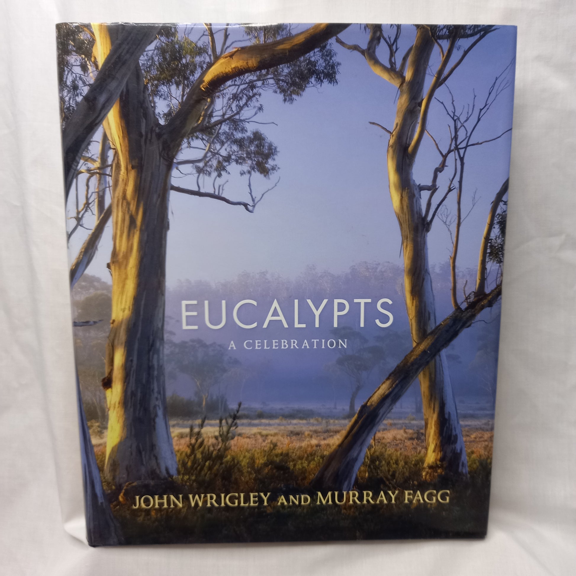 Eucalypts: A Celebration by John Wrigley and Murray Fagg-Book-Tilbrook and Co