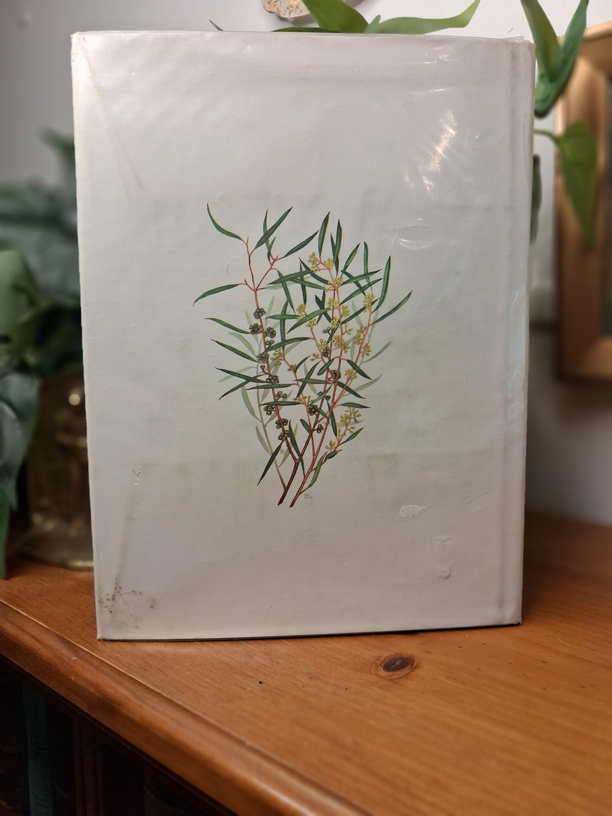 Eucalypts – Stan Kelly, G.M. Chippendale & R.D. Johnston (1976 Reprint)-Australian Natural History / Botanical Illustration-Tilbrook and Co
