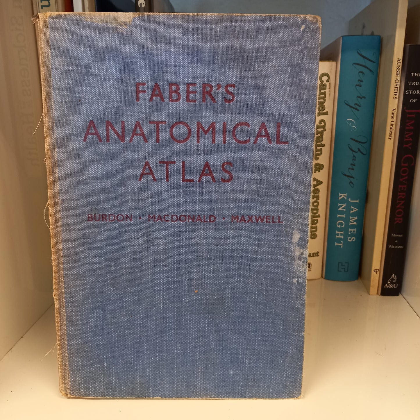 Faber’s Anatomical Atlas-book-Tilbrook and Co