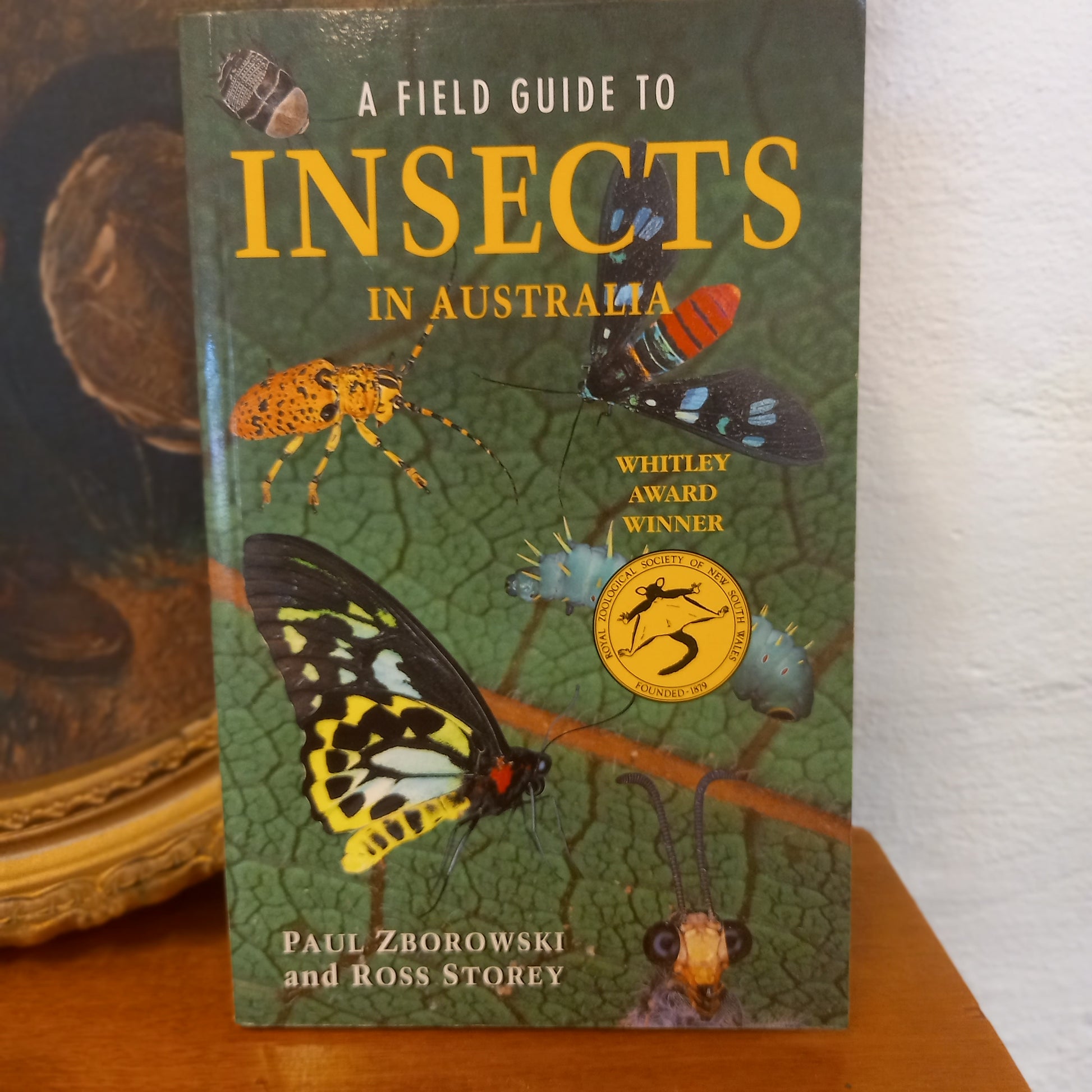 Field Guide to Insects of Australia by Paul Zborowski & Ross Storey-Book-Tilbrook and Co