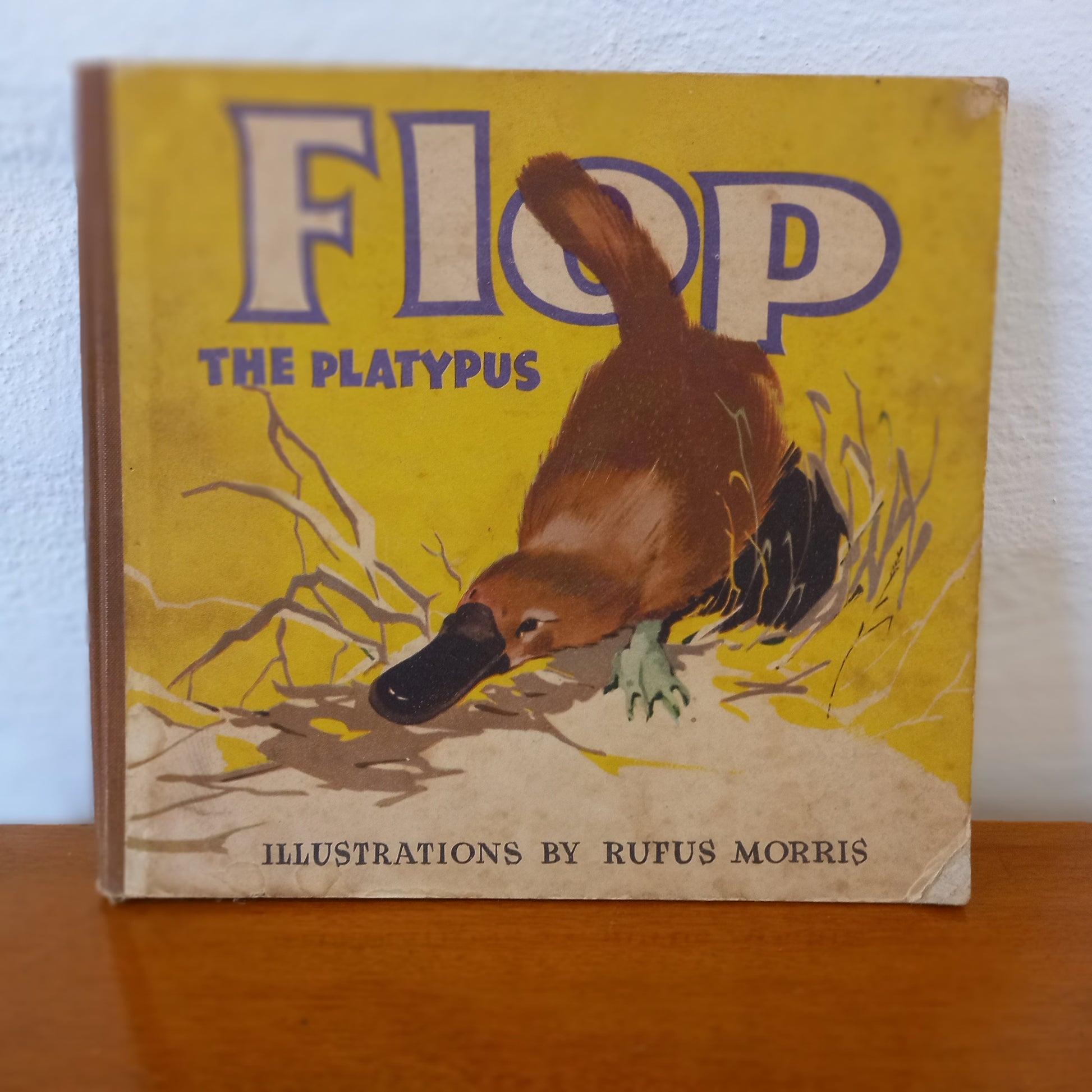 Flop the Platypus by Timonthy Kay Illustrations by Rufus Morris-Book-Tilbrook and Co