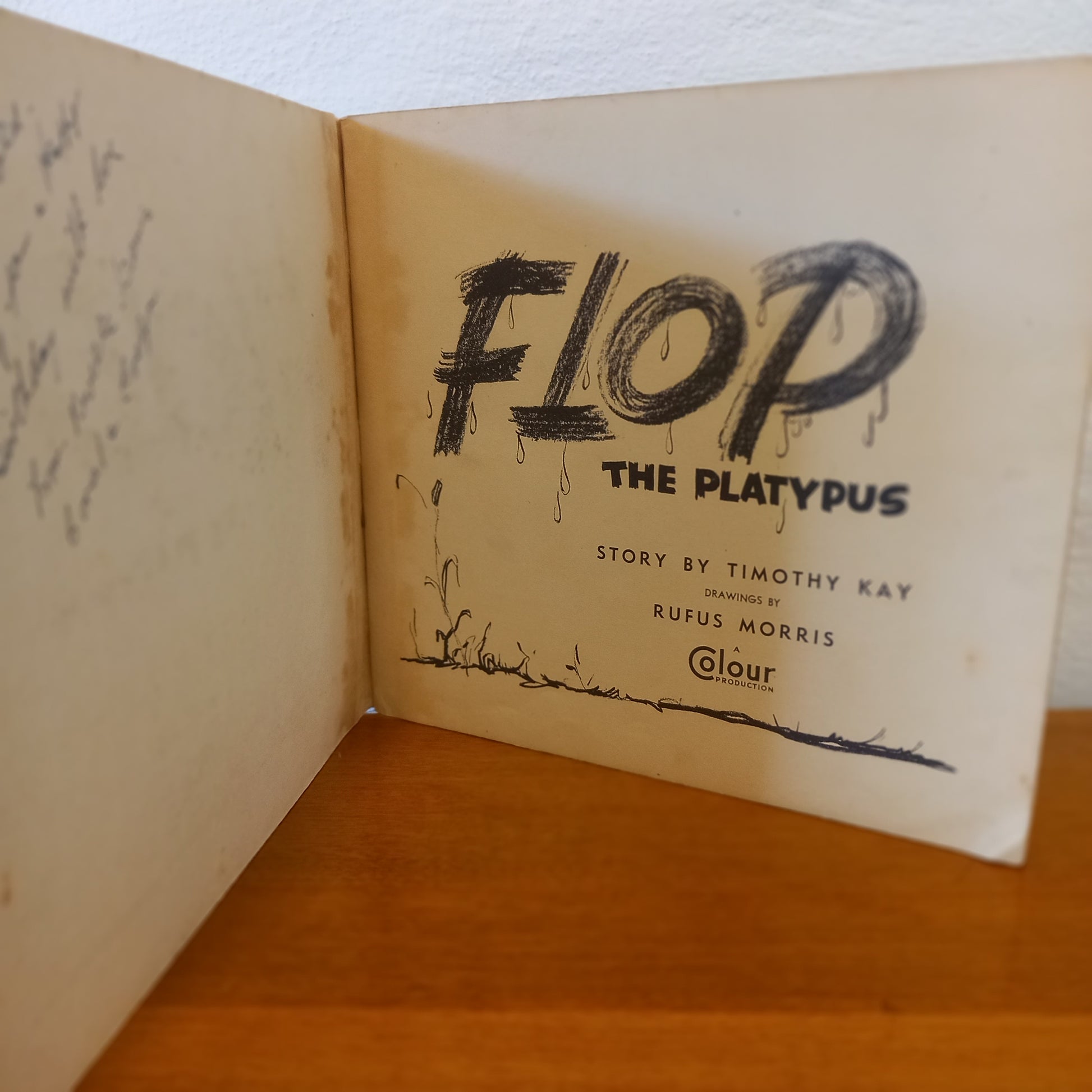 Flop the Platypus by Timonthy Kay Illustrations by Rufus Morris-Book-Tilbrook and Co