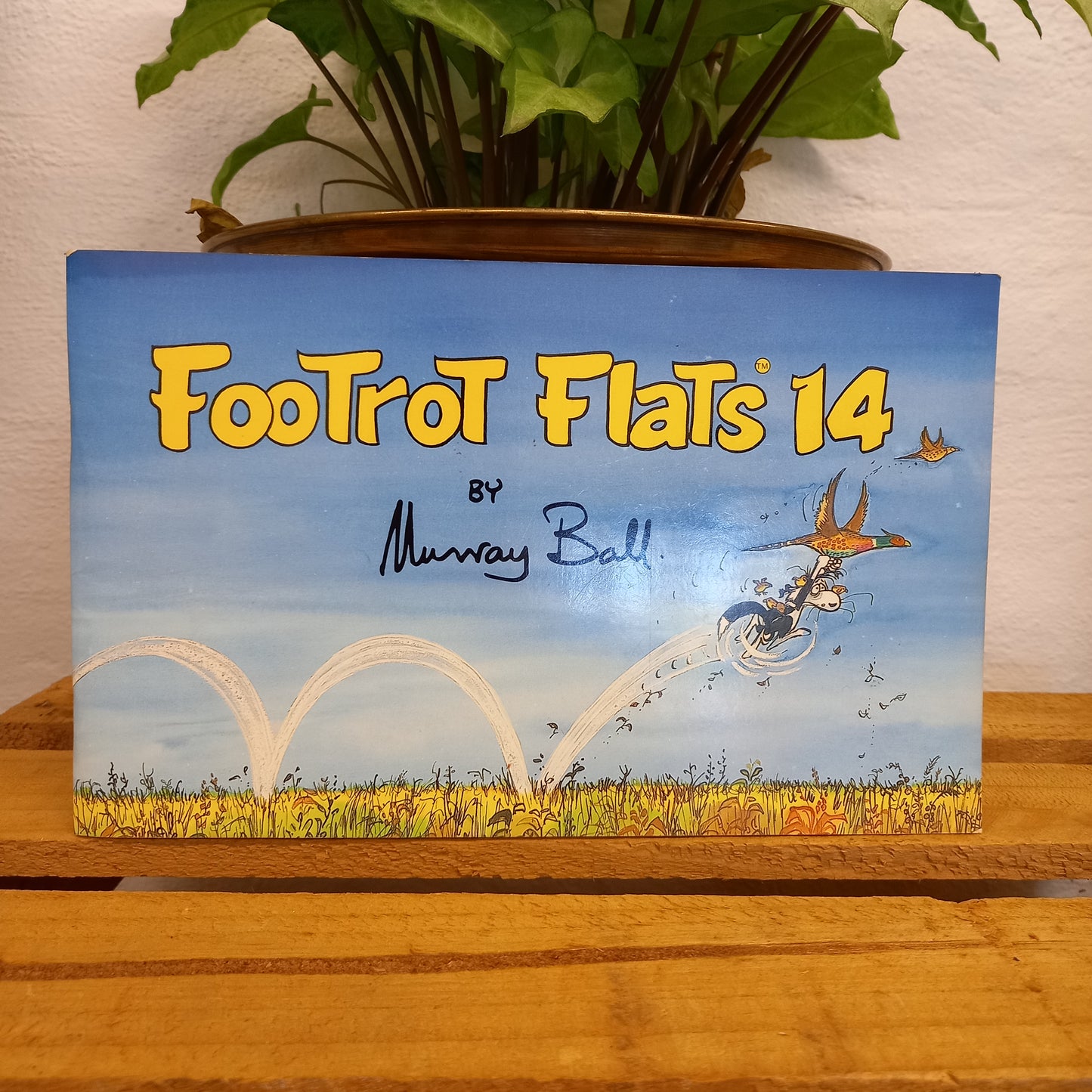 Footrot Flats 14 by Murray Ball-Book-Tilbrook and Co