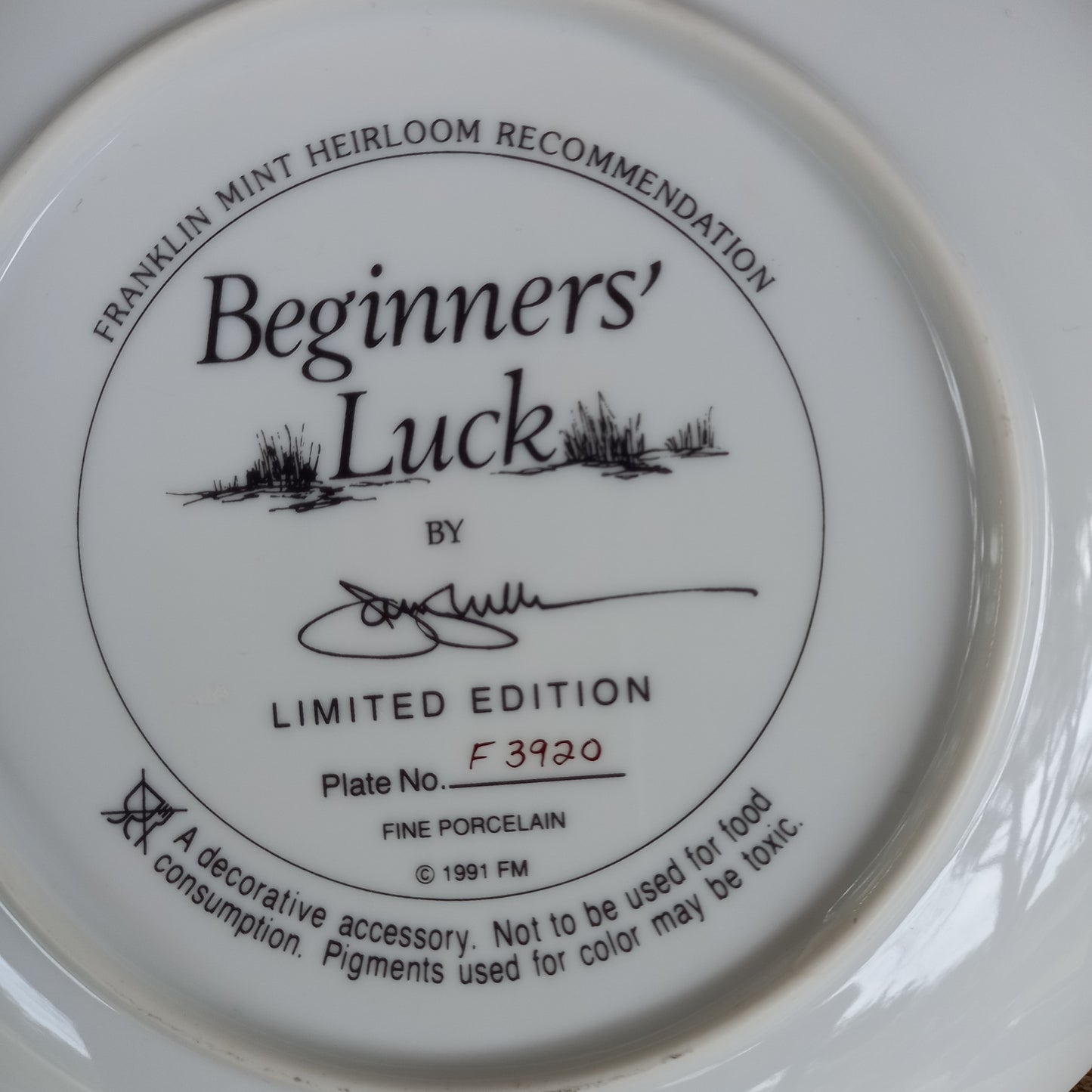 Franklin Mint "Beginners' Luck" plate-Decor-Tilbrook and Co