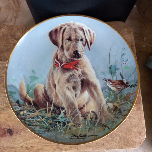 Franklin Mint "Eye to Eye" Dog plate-Decor-Tilbrook and Co