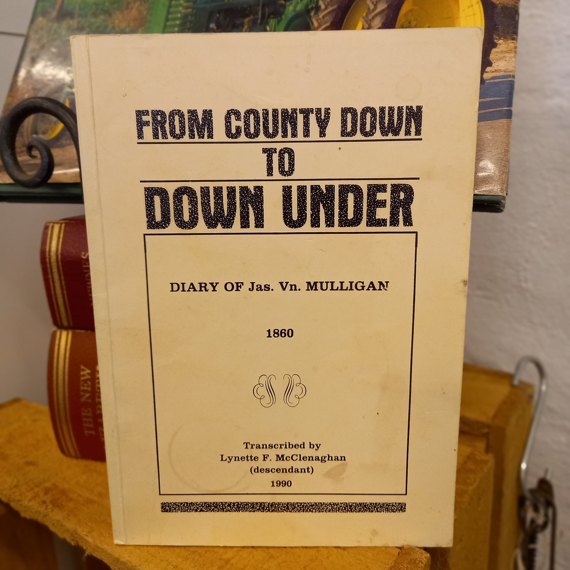 From County Down to Down Under: Diary of Jas. Vn. Mulligan 1860 Transcribed by Lynette F. McClenaghan-Book - Australian Biography / Immigration History / Personal Diary-Tilbrook and Co