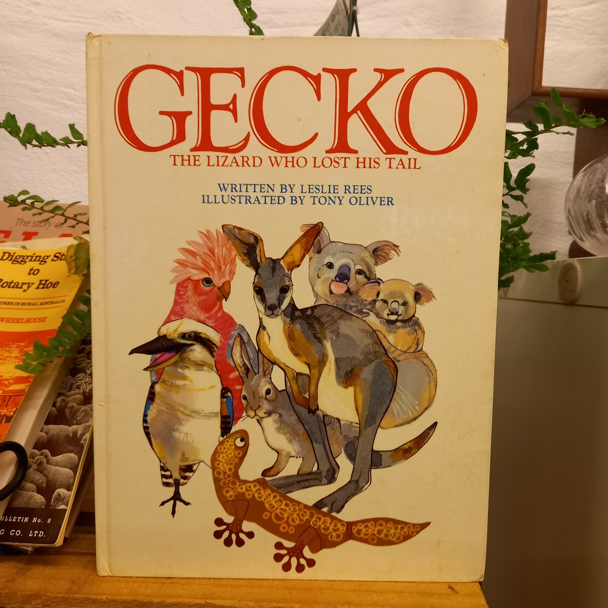 Gecko The Lizard Who Lost His Tail by Leslie Rees-Book-Tilbrook and Co