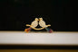 Retro Gold Coloured Love Birds Brooch-Clothing Accessories-Tilbrook and Co