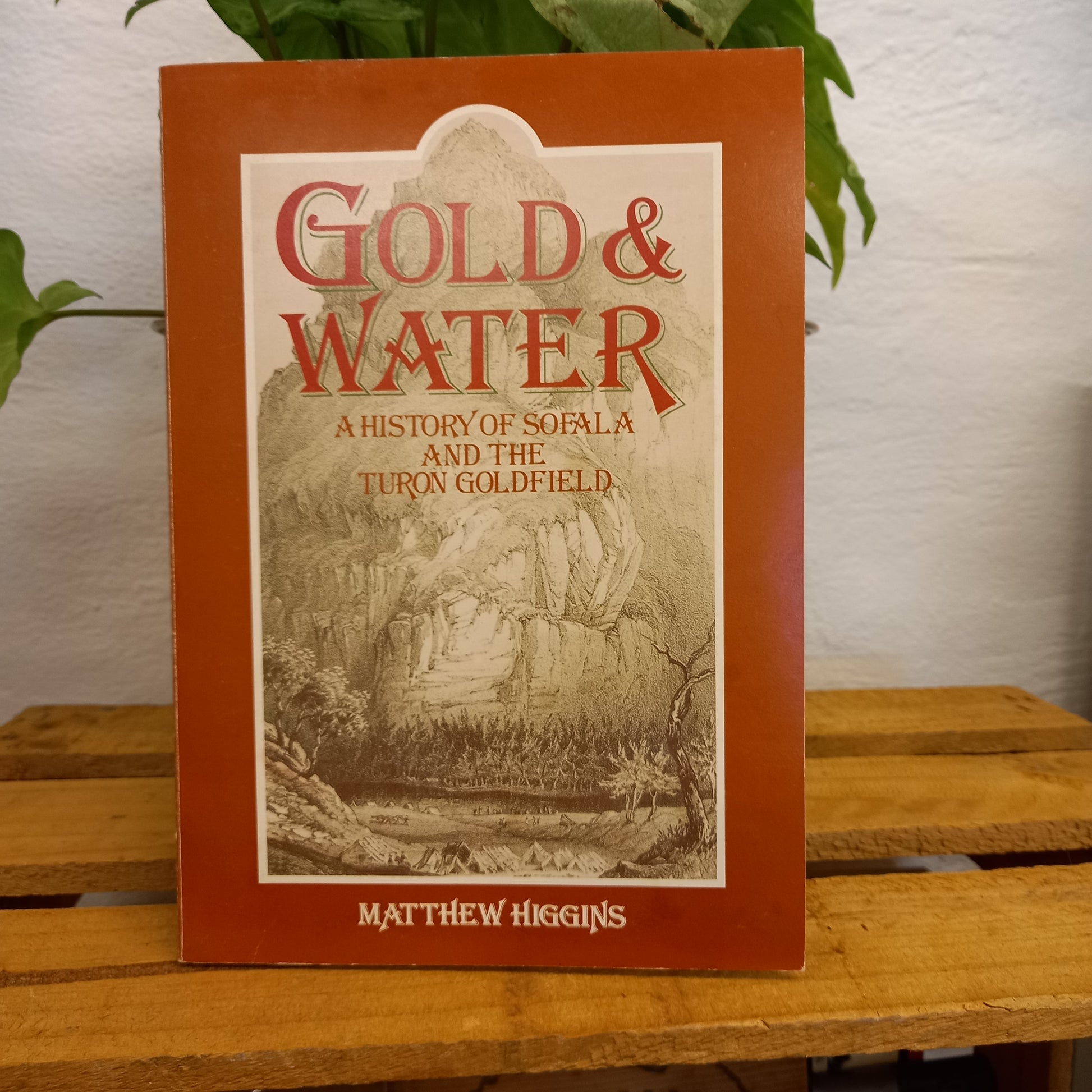 Gold & Water: A History of Sofala and the Turon Go by Matthew Higgins-Book-Tilbrook and Co