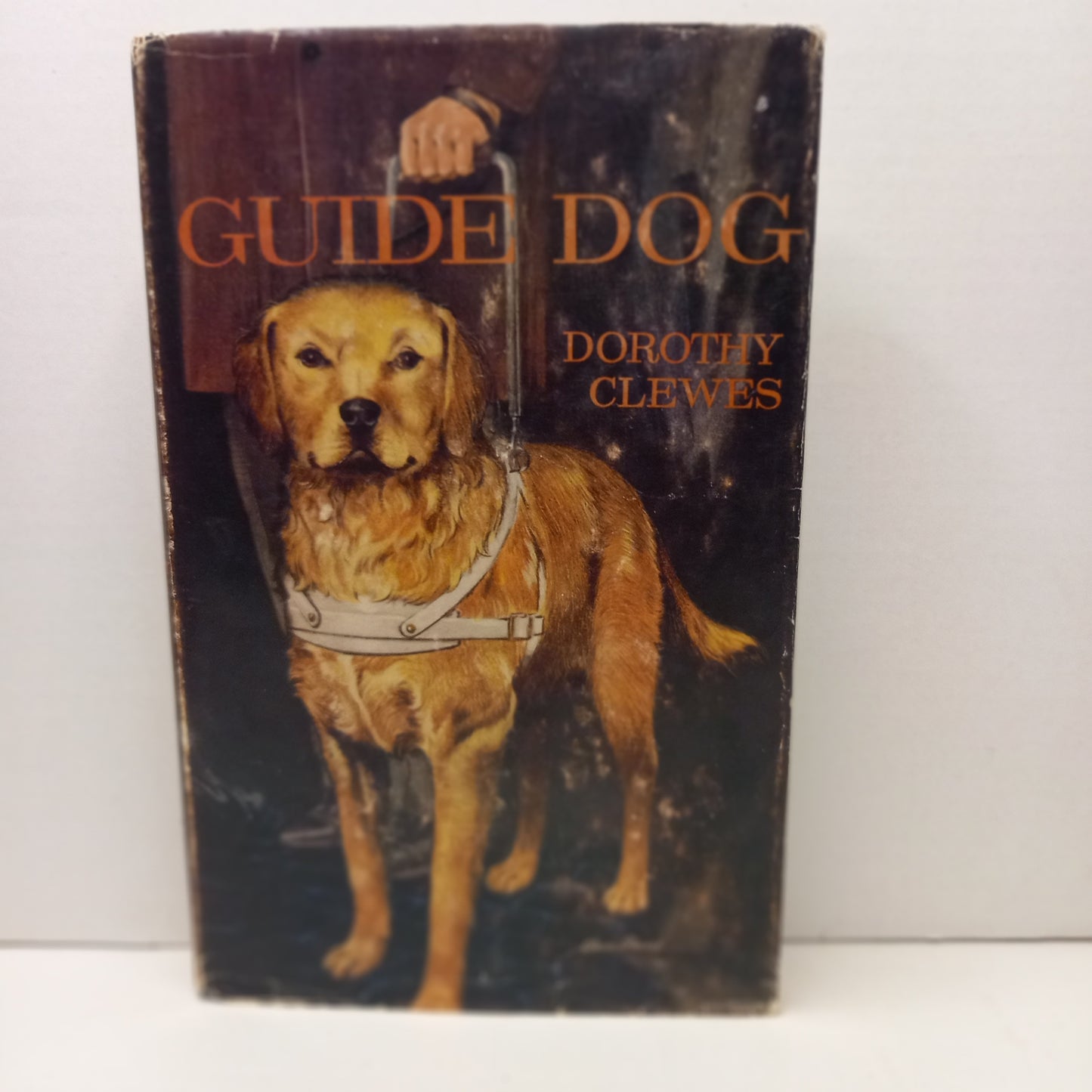 Guide Dog by Dorothy Clewes-Book-Tilbrook and Co