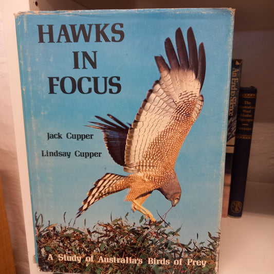 Hawks in Focus: A Study of Australia's Birds of Prey by Jack Cupper-Books-Tilbrook and Co