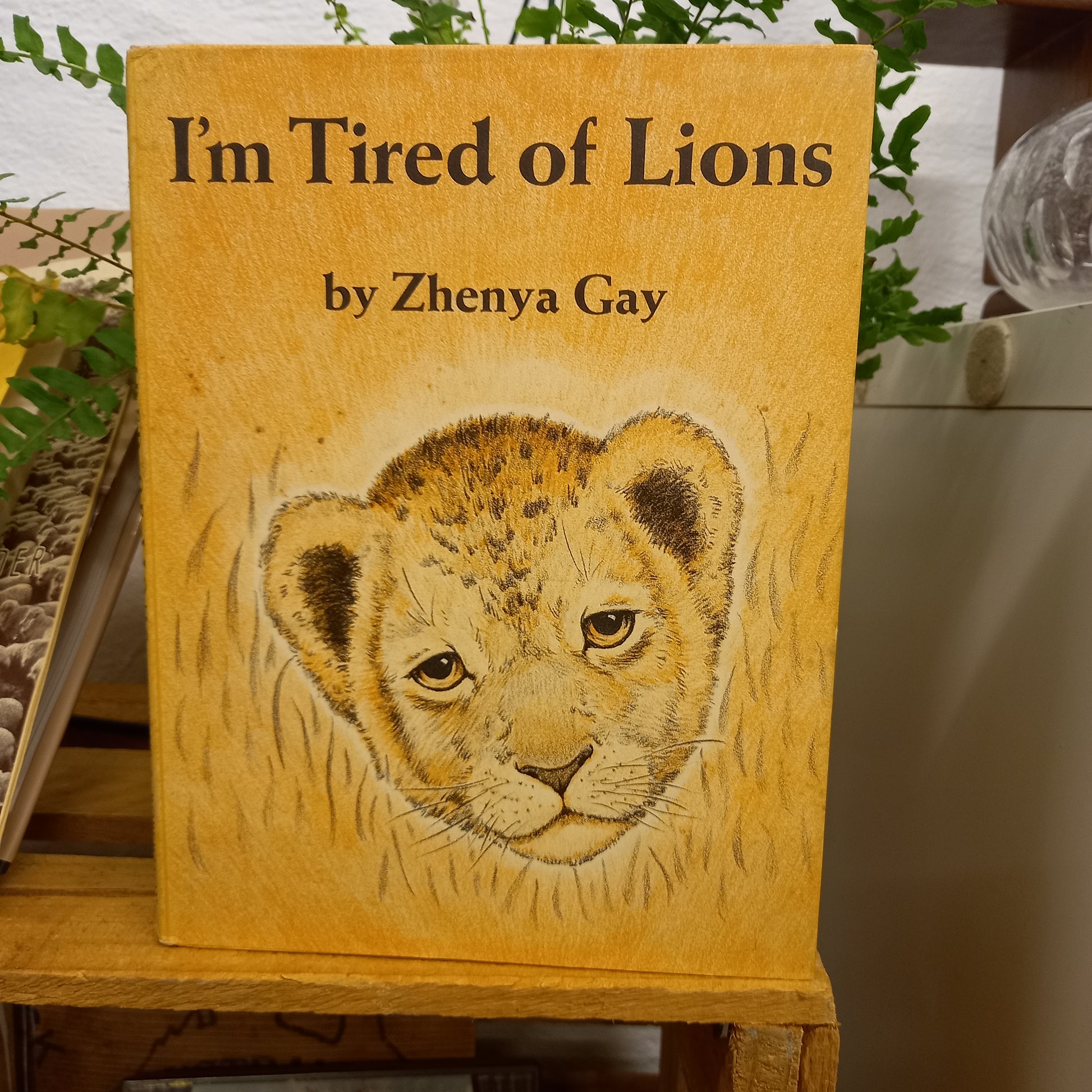 I'm Tired of Lions by Zhenya Gay-Book-Tilbrook and Co