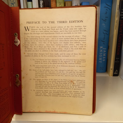 Illustrations of Regional Anatomy : Section IV Pelvis-Book-Tilbrook and Co