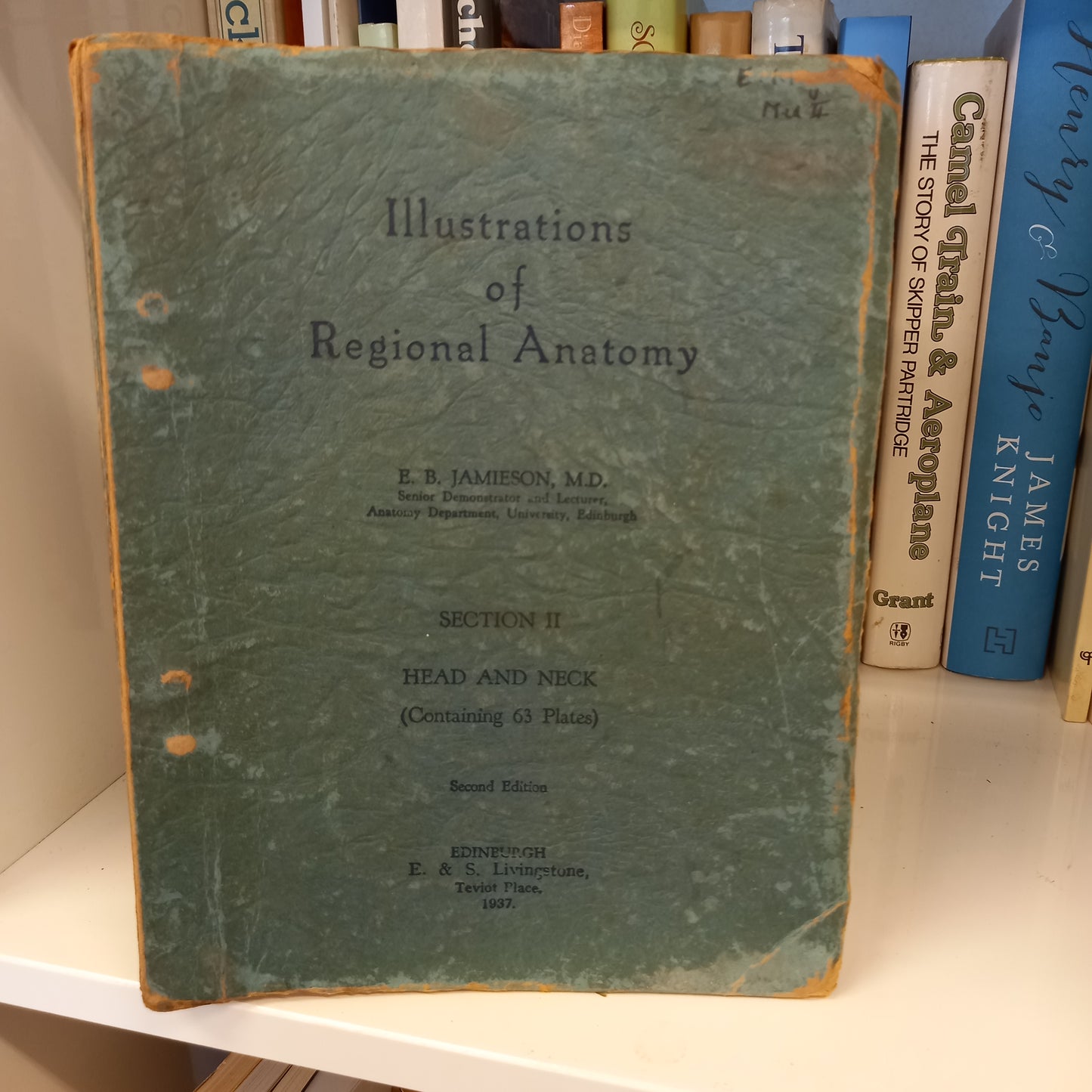 Illustrations of Regional Anatomy : Section VI Head and Neck-Book-Tilbrook and Co