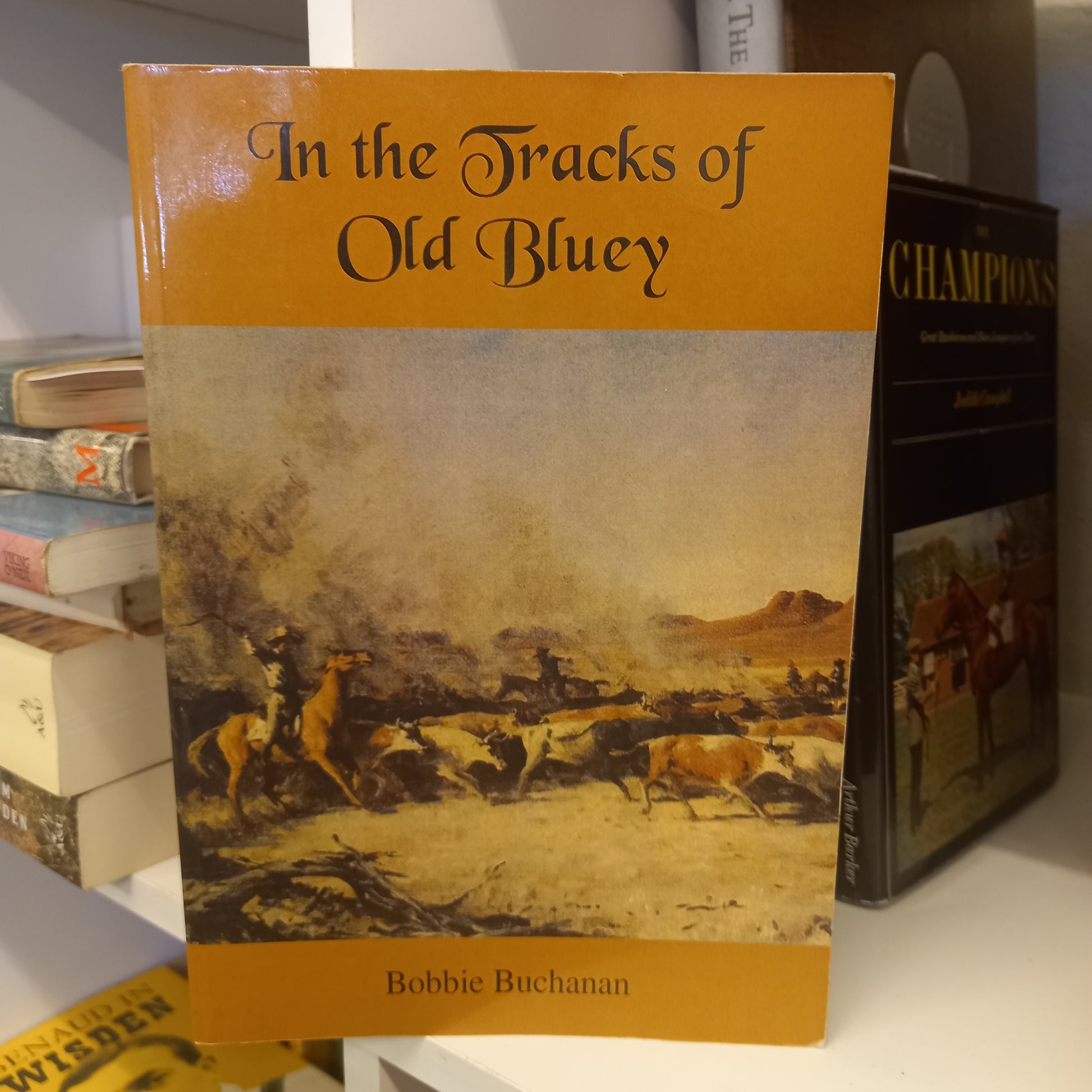 In the Tracks of Old Bluey by Bobbie Buchanan-Book-Tilbrook and Co