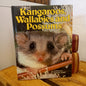 Kangaroos, Wallabies and Possums – Australian Wildlife Series (Bay Books, 1981)-Vintage Children's Books / Australian Natural History-Tilbrook and Co