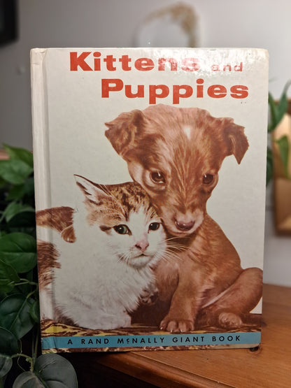Kittens and Puppies: A Real Live Animal Book by Peggy Burrows-Vintage Children’s Book / Animal Book / Picture Book-Tilbrook and Co