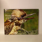 Kookaburras and Kingfishers by Bruce Edwards (Young Nature Library)-Book-Tilbrook and Co