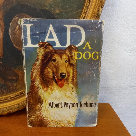 Lad : A Dog by Albert Payson Terhune-Book-Tilbrook and Co