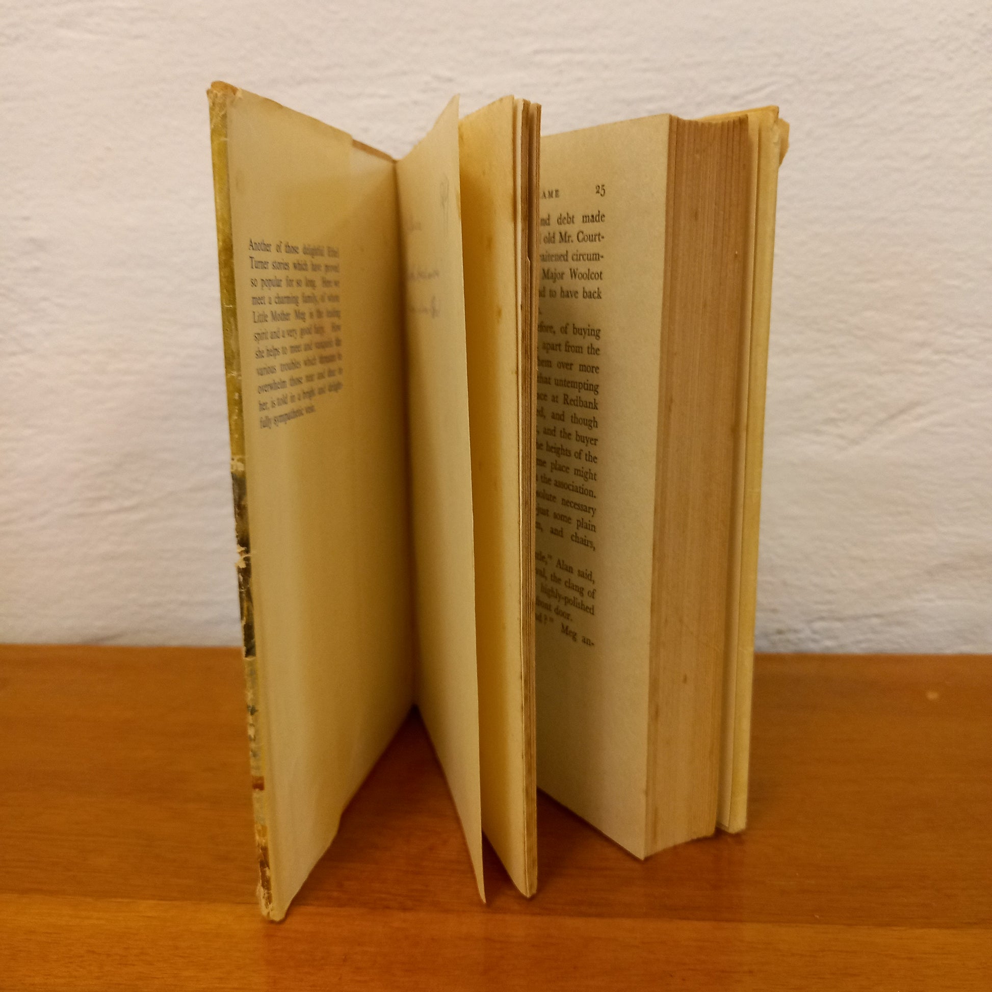 Little Mother Meg by Ethel Turner-Book-Tilbrook and Co