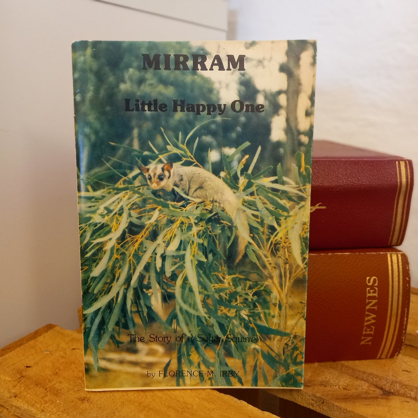 Mirram – Little Happy One: The Story of a Sugar Squirrel by Florence M. Irby (1982 Second First Edition)-Vintage Australian Children's Book-Tilbrook and Co