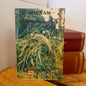 Mirram – Little Happy One: The Story of a Sugar Squirrel by Florence M. Irby (1982 Second First Edition)-Vintage Australian Children's Book-Tilbrook and Co
