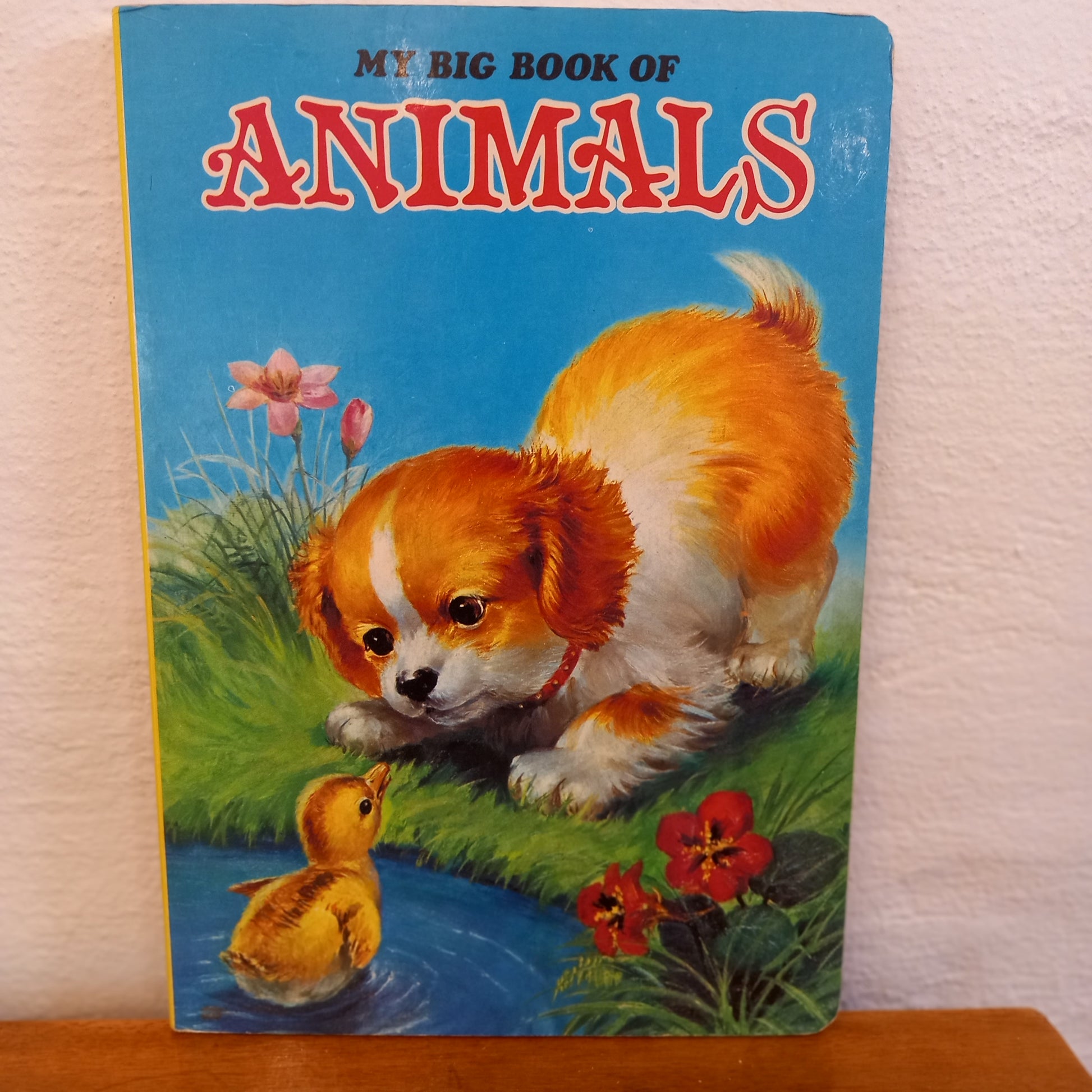 My Big Book of Animals-Book-Tilbrook and Co