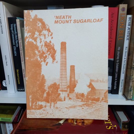 Neath Mount Sugarloaf-Book-Tilbrook and Co