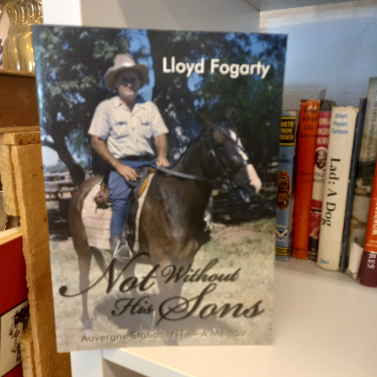 Not without his sons by Lloyd Fogarty-Book-Tilbrook and Co