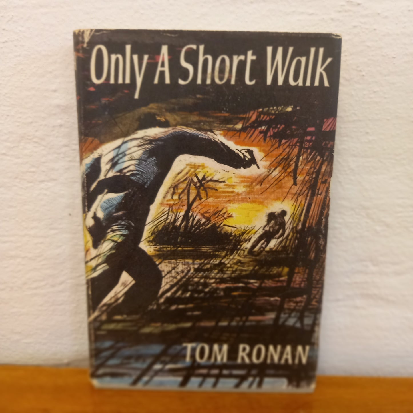 Only a Short Walk by Tom Ronan-Book-Tilbrook and Co