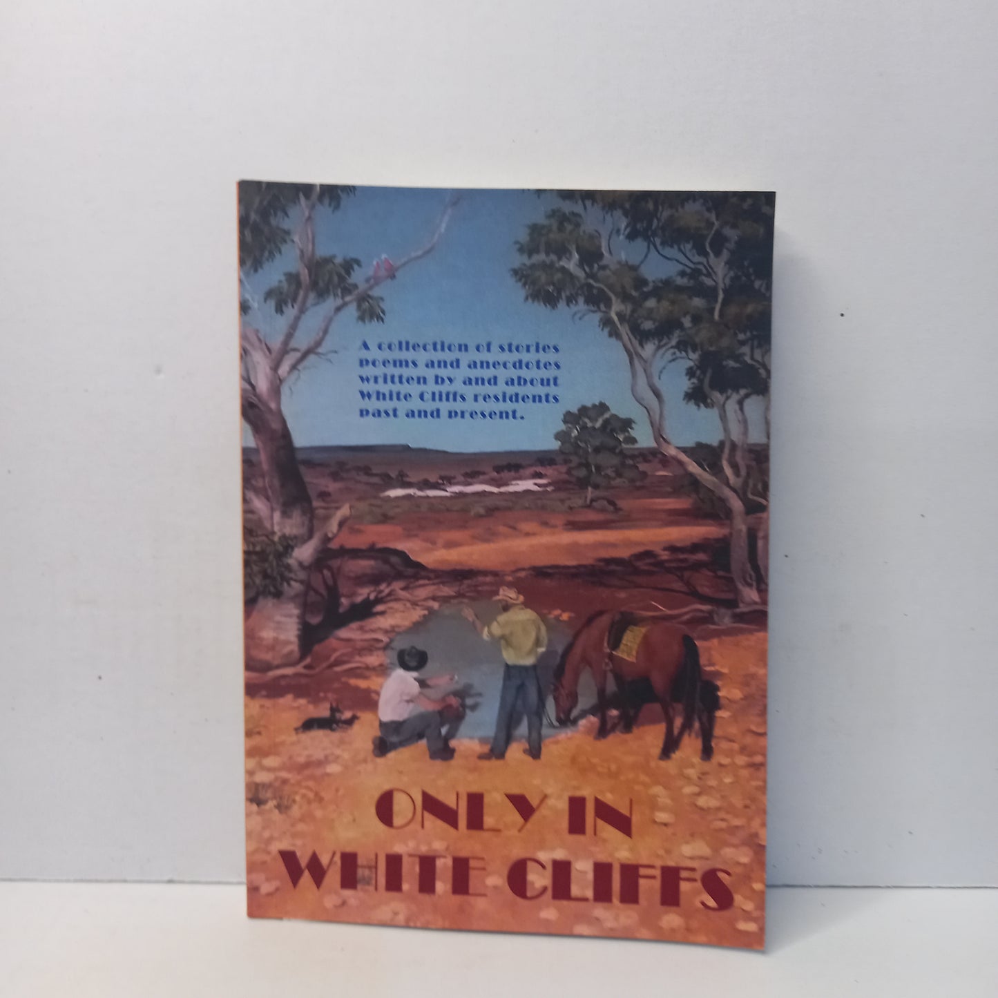 Only in White Cliffs by Cree Marshall-Book-Tilbrook and Co