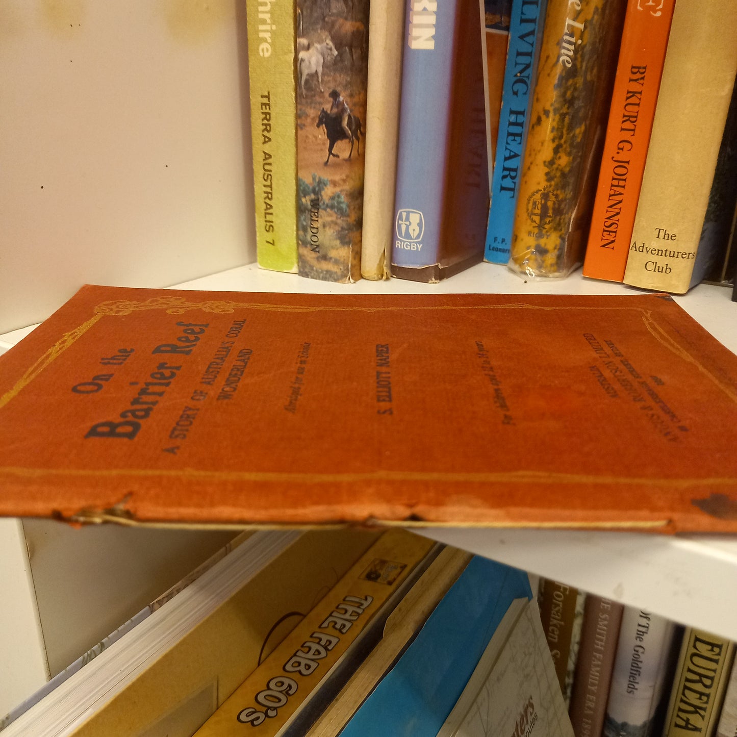 On the Barrier Reef: A Story of Australia's Coral Wonderland by S. Elliott Napier-Book - Natural History / Travel-Tilbrook and Co