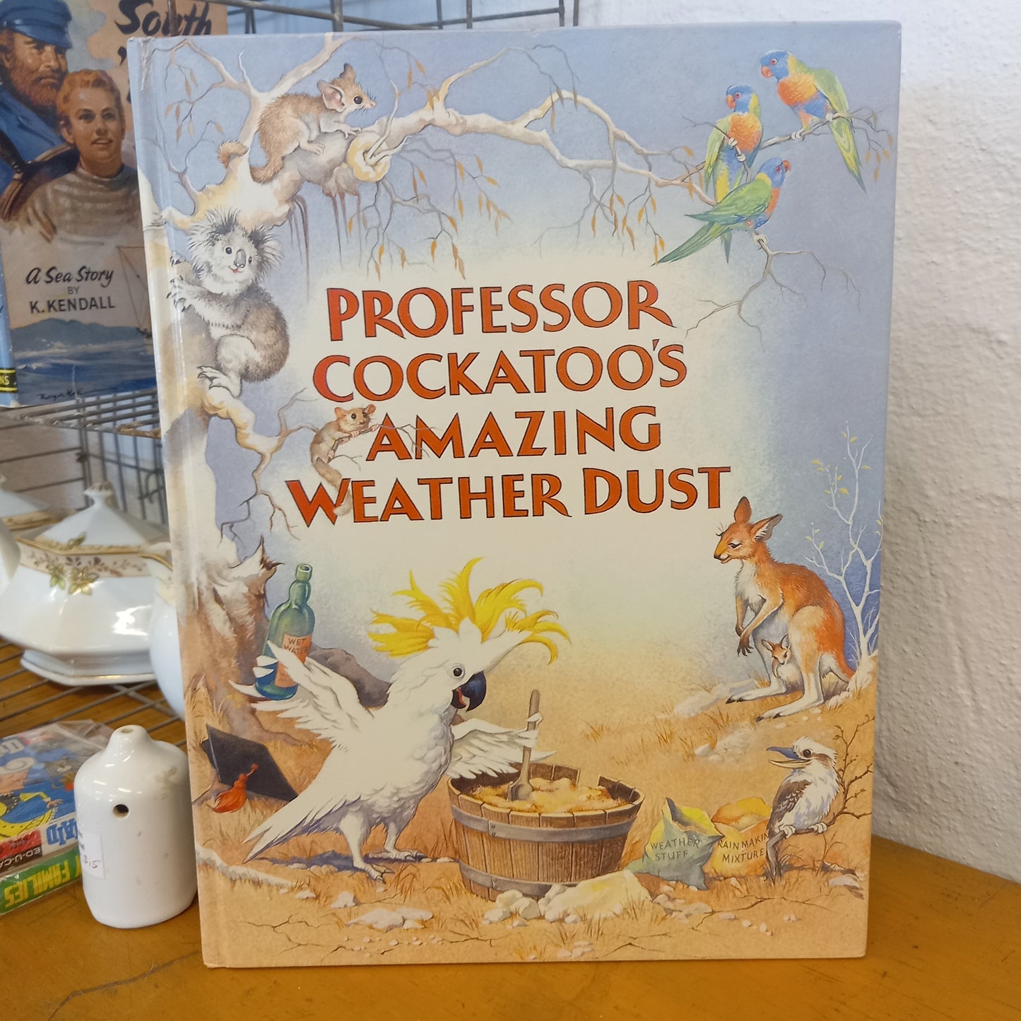 Professor Cockatoo's Amazing Weather Dust By Dan Vallely Illustrated by Yvonne Perrin-Book-Tilbrook and Co