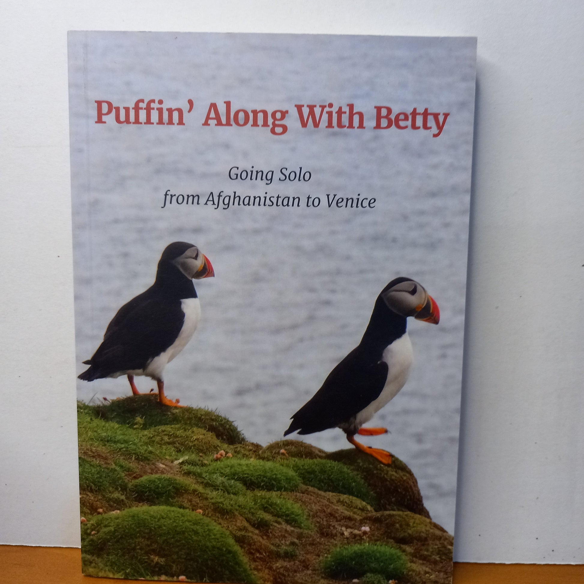 Puffin Along with Betty by Betty Stroud-Book-Tilbrook and Co