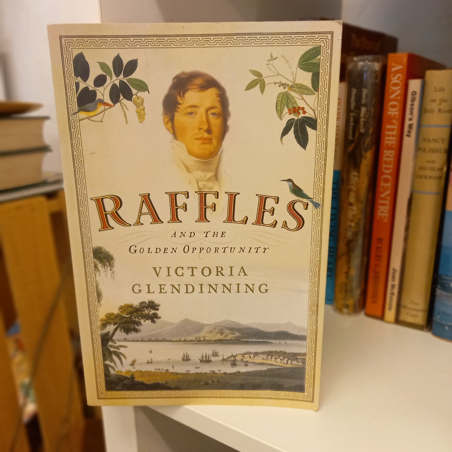 Raffles And the Golden Opportunity by Victoria Glendinning-Books-Tilbrook and Co