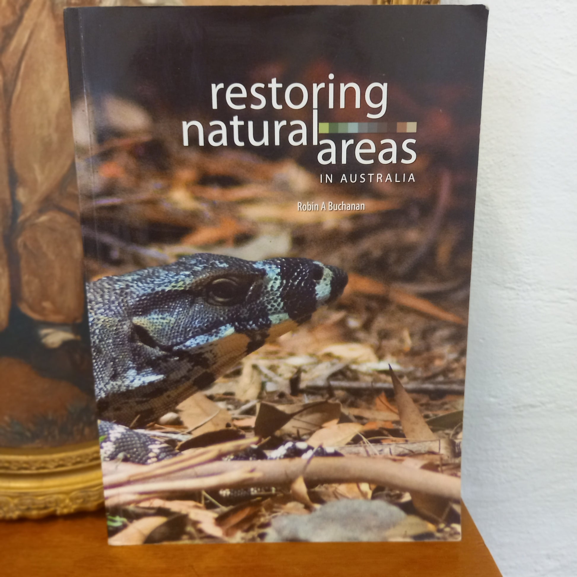 Restoring natural areas in Australia by Robin A. Buchanan-Book-Tilbrook and Co