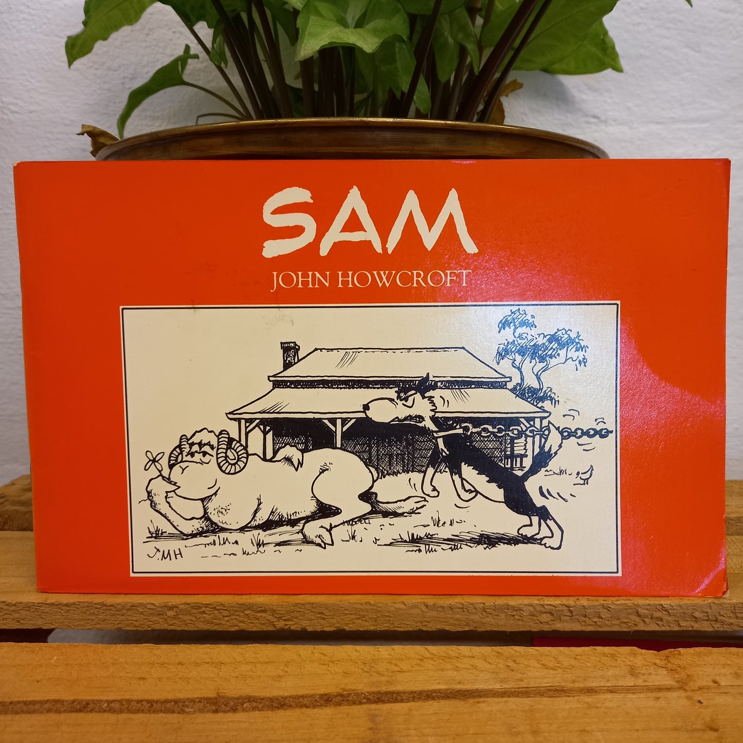 Sam by John Howcroft-Book-Tilbrook and Co