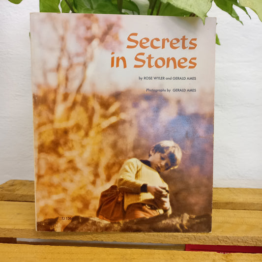 Secrets in Stones by Rose Wyler and Gerald Ames-Book-Tilbrook and Co