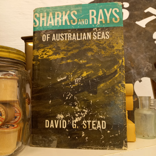 Sharks and Rays of Australian Seas by David G. Stead-Book-Tilbrook and Co