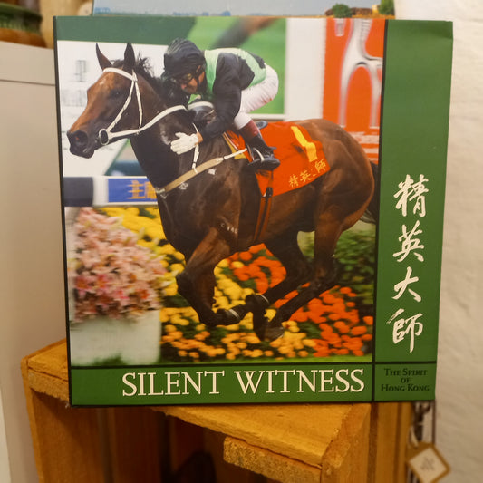 Cover of Silent Witness: The Spirit of Hong Kong (精英大師), large-format 2005 bilingual hardcover book