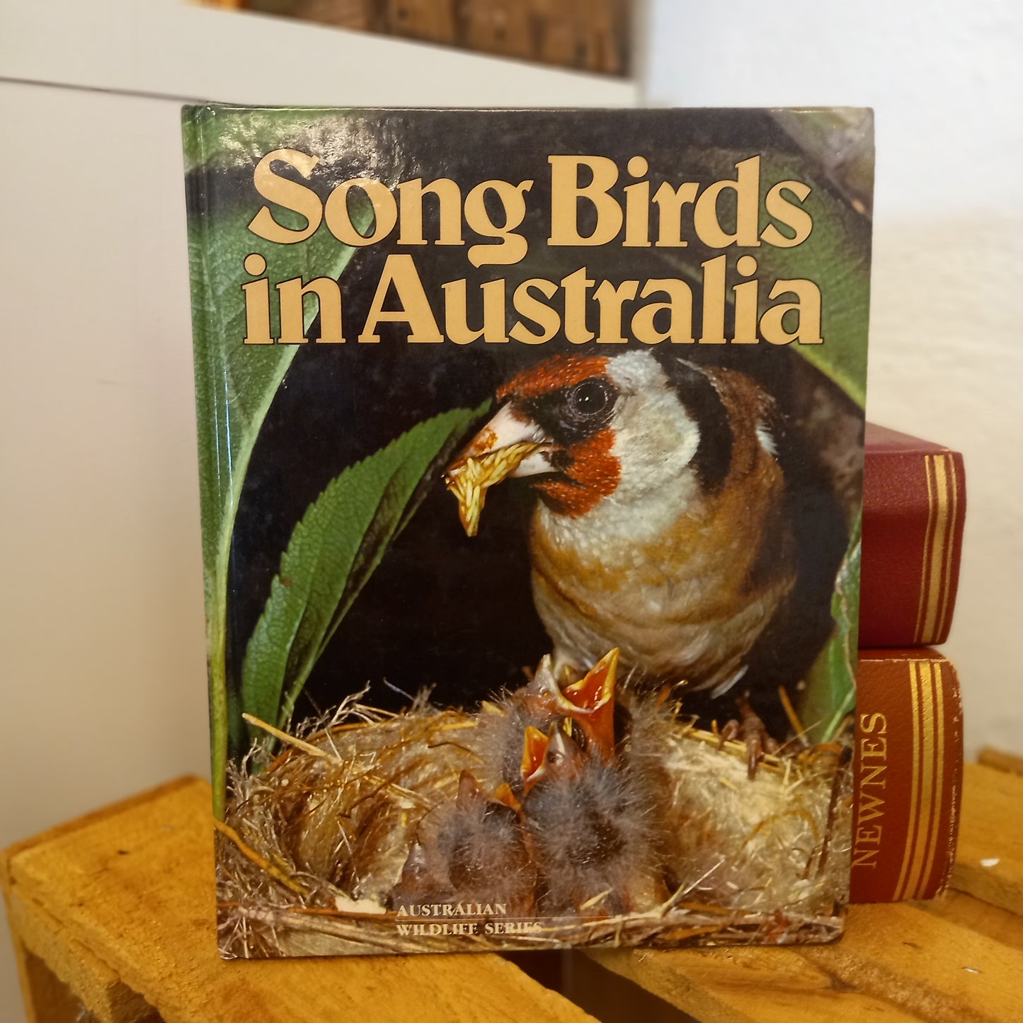 Song Birds in Australia – Australian Wildlife Series (Bay Books, 1981) | Vintage Nature Book-Vintage Children's Books / Australian Natural History-Tilbrook and Co