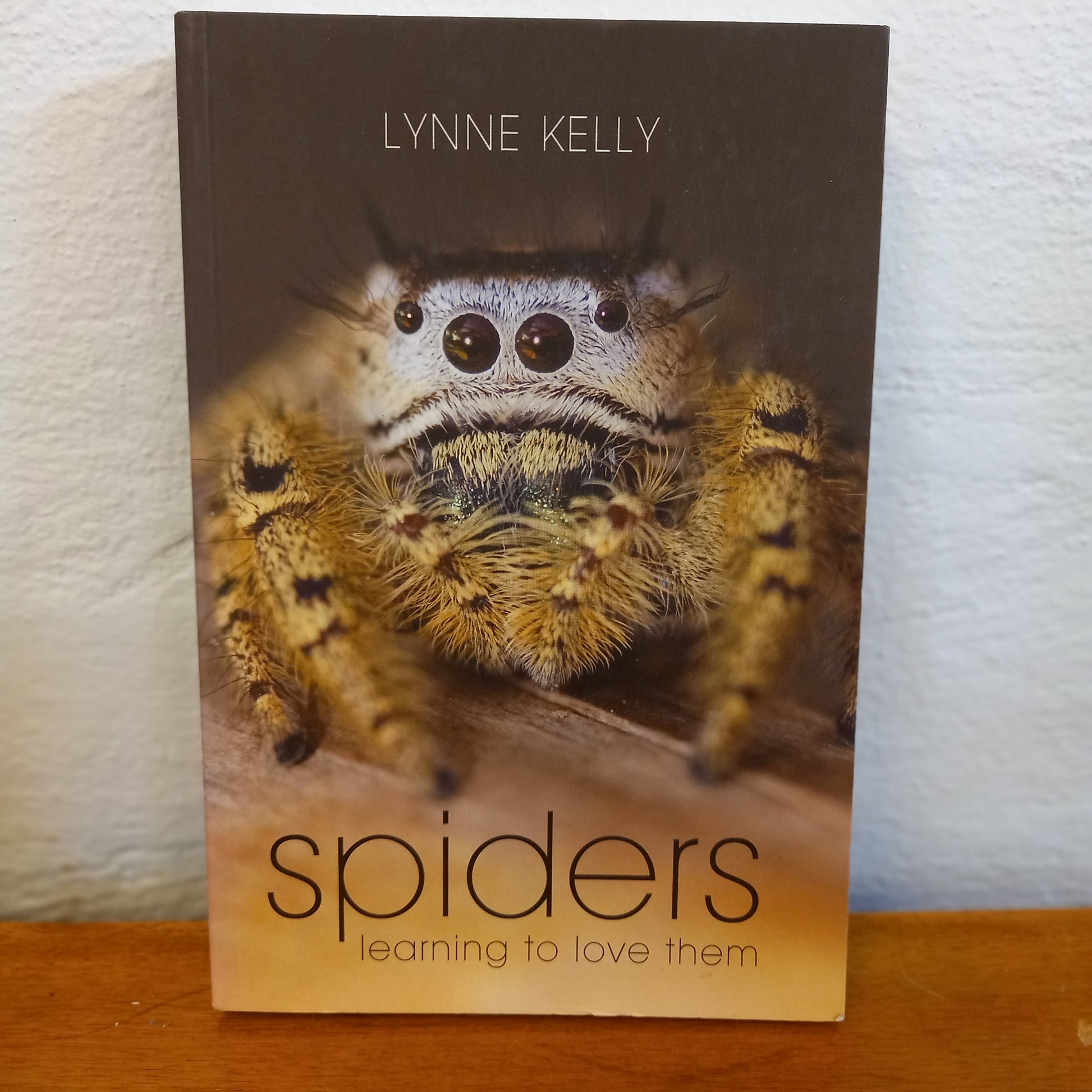 Spiders: Learning to Love Them by Lynne Kelly-Book-Tilbrook and Co