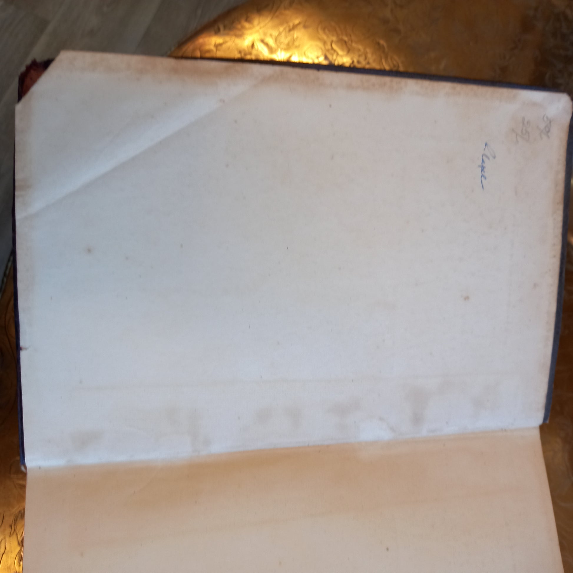 Stedman's Medical Dictionary by Thomas Lathrop Stedman (1937, Leather-Bound Softcover)-Book – Medical Dictionary / Vintage Reference-Tilbrook and Co