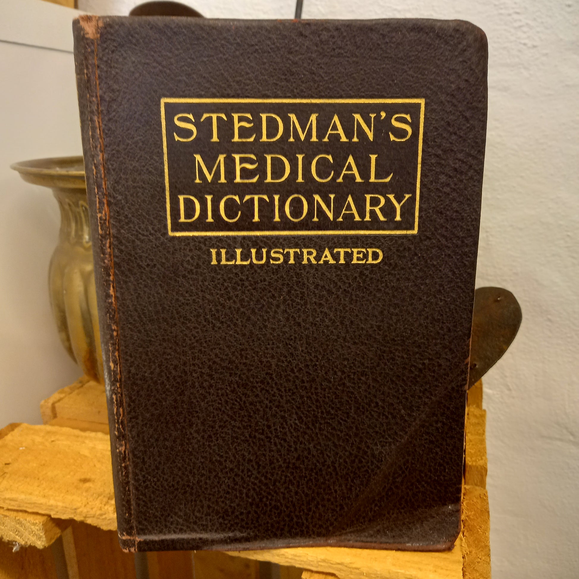 Stedman's Medical Dictionary by Thomas Lathrop Stedman (1937, Leather-Bound Softcover)-Book – Medical Dictionary / Vintage Reference-Tilbrook and Co