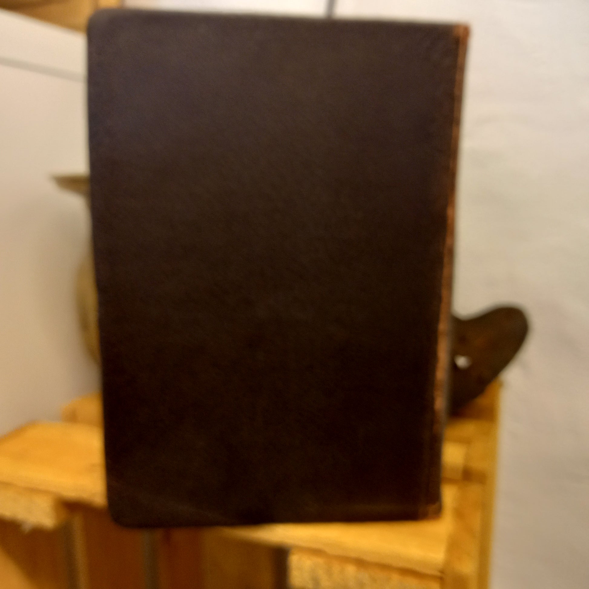 Stedman's Medical Dictionary by Thomas Lathrop Stedman (1937, Leather-Bound Softcover)-Book – Medical Dictionary / Vintage Reference-Tilbrook and Co