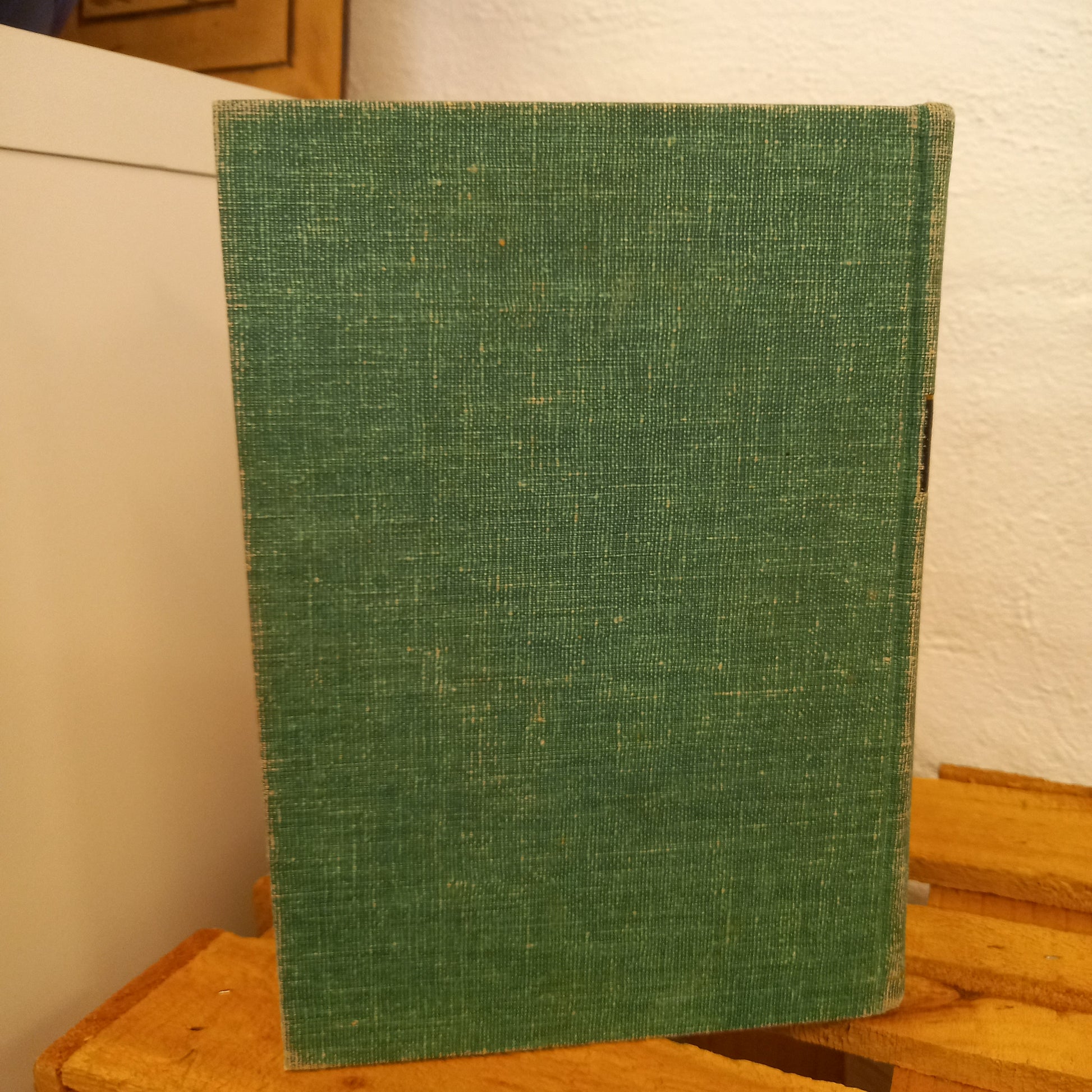 Textbook of Pediatrics edited by Waldo E. Nelson (1959, Hardcover)-Book – Medical Textbook / Pediatric Reference-Tilbrook and Co