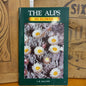 The Alps in flower by Ian McCann-Book-Tilbrook and Co