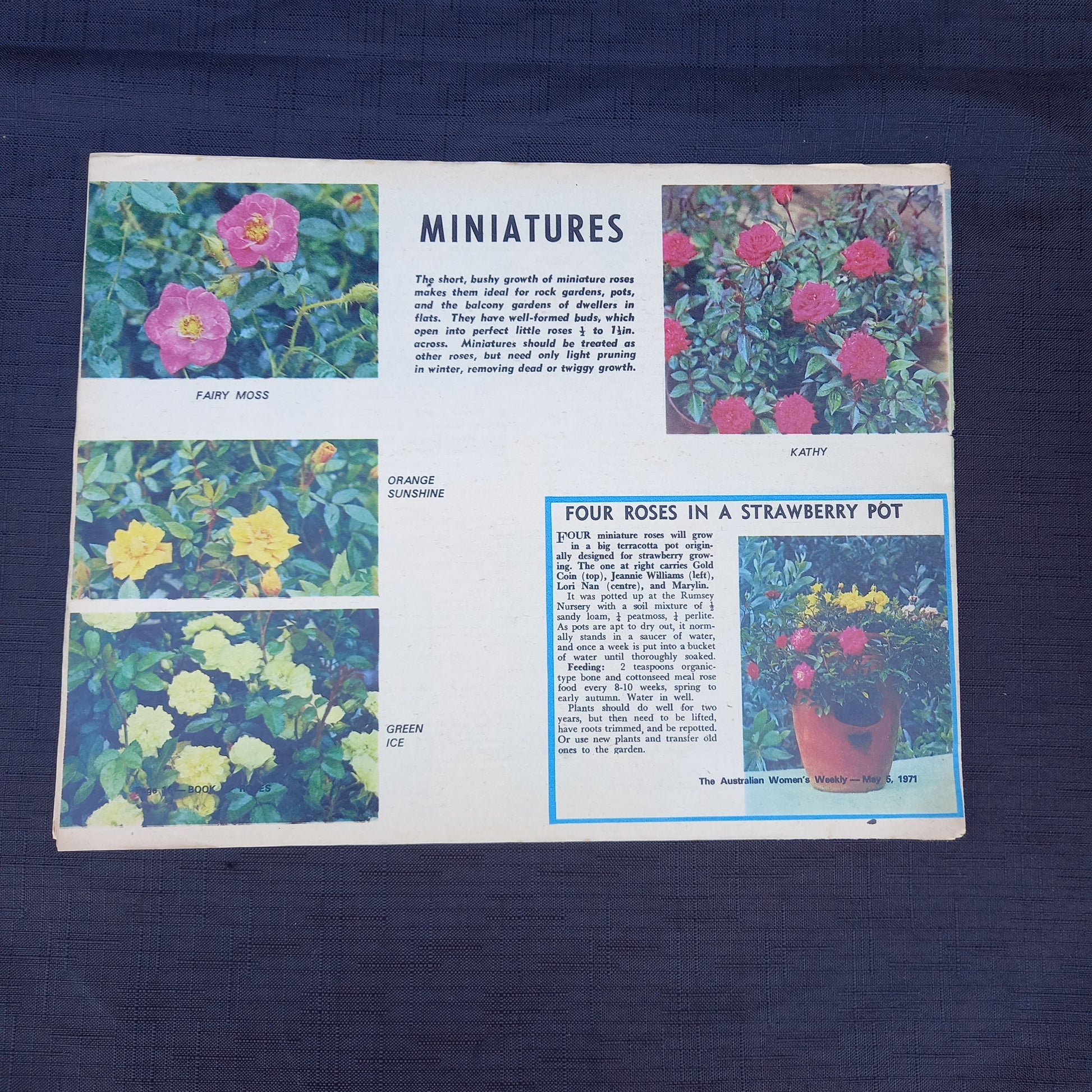 The Australian Women’s Weekly Presents A Book of Roses by Allan Searle (1971 Supplement)-Vintage Gardening Booklet / Homemaking Supplement-Tilbrook and Co